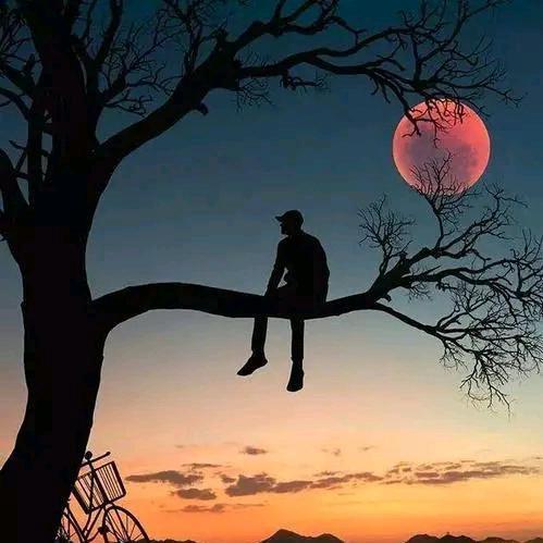 🚬大叔ᝰꫛ爱财ಇ᭄ 🌻