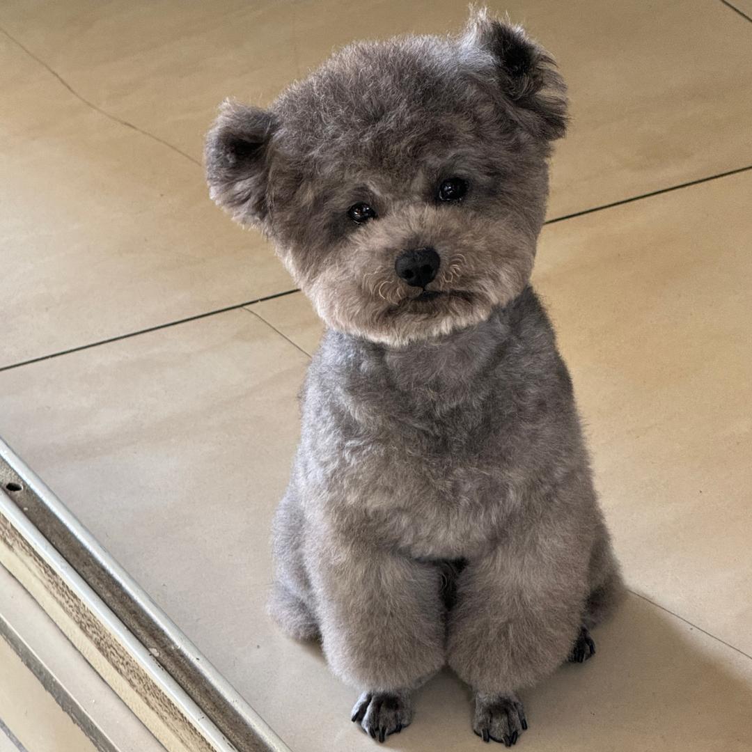 难得想