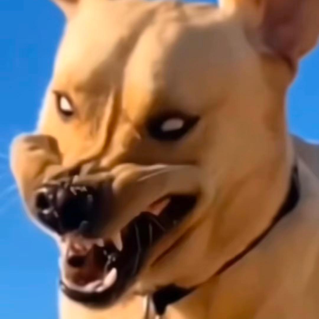 🤔 Y