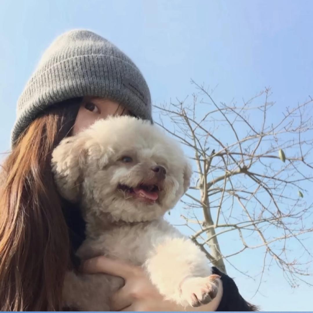 番茄炒西红柿 ❄️