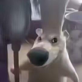 留住明天的裤衩