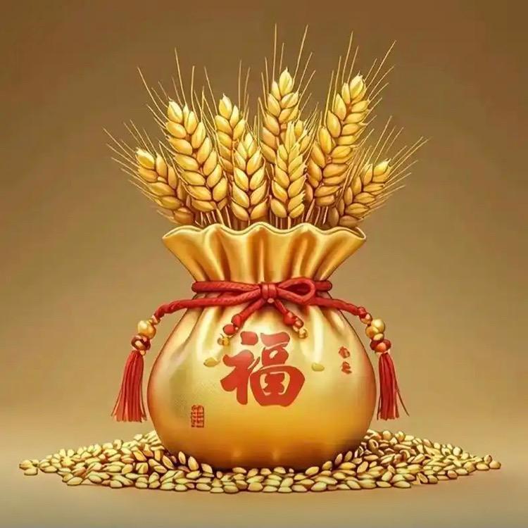 鑫歌🎙️