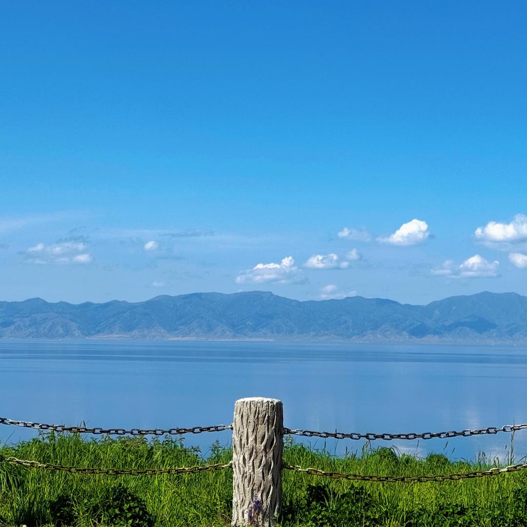 小王哥很忙（带队中）