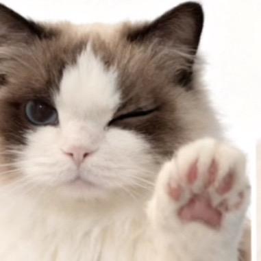 ☀️小小的太阳☀️