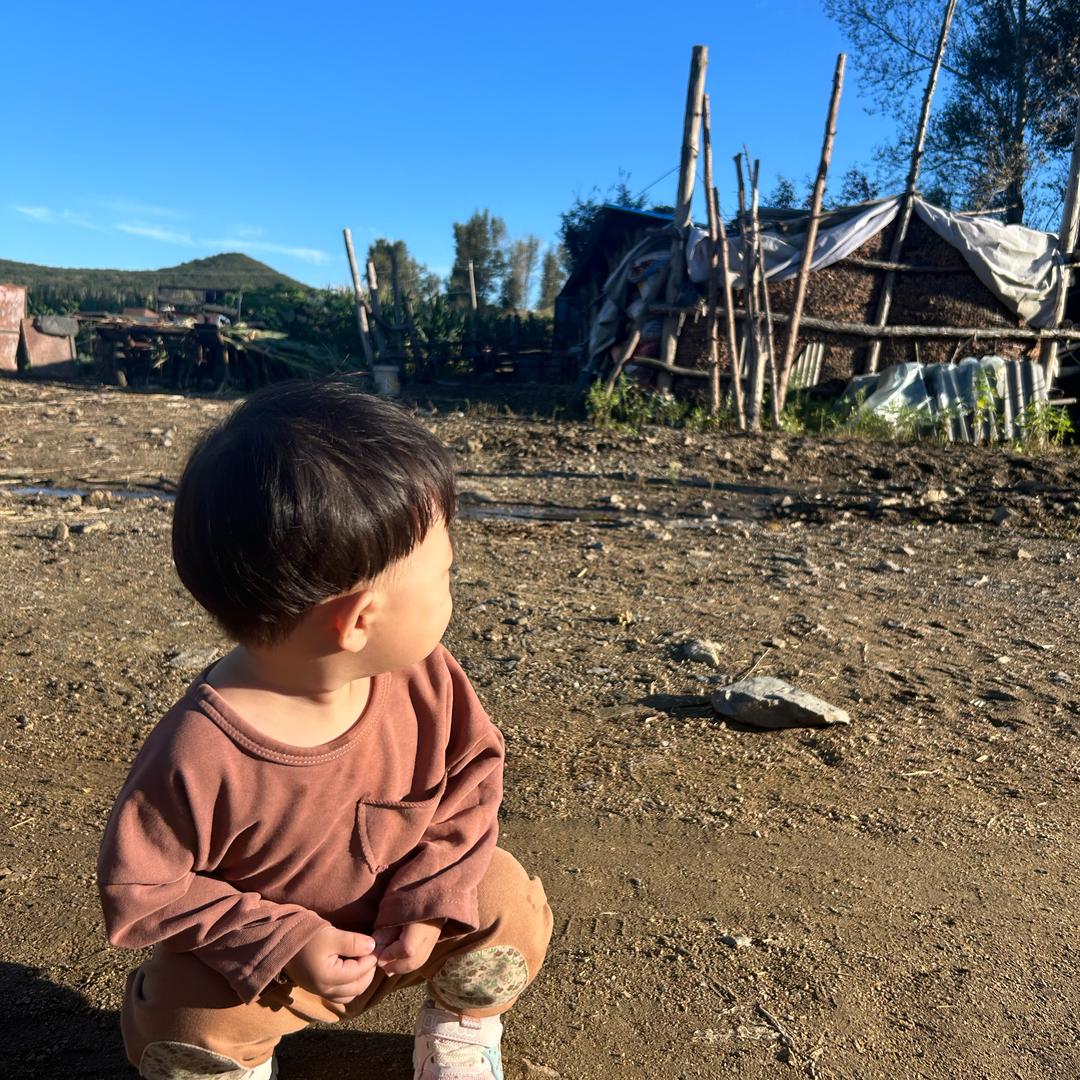 倒插门农村的女婿