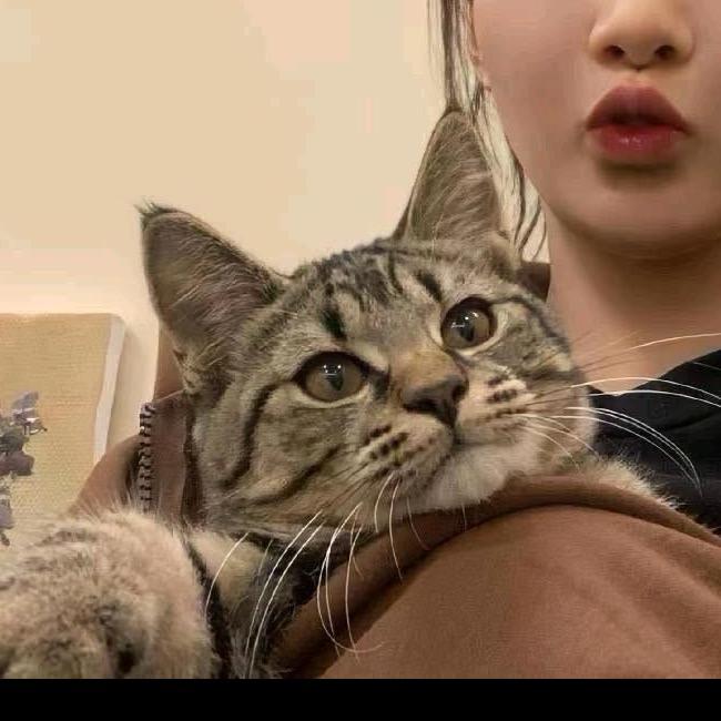 爱睡懒觉