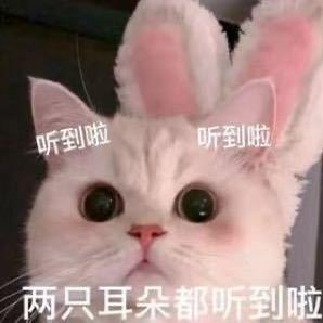 装忧郁被狗追