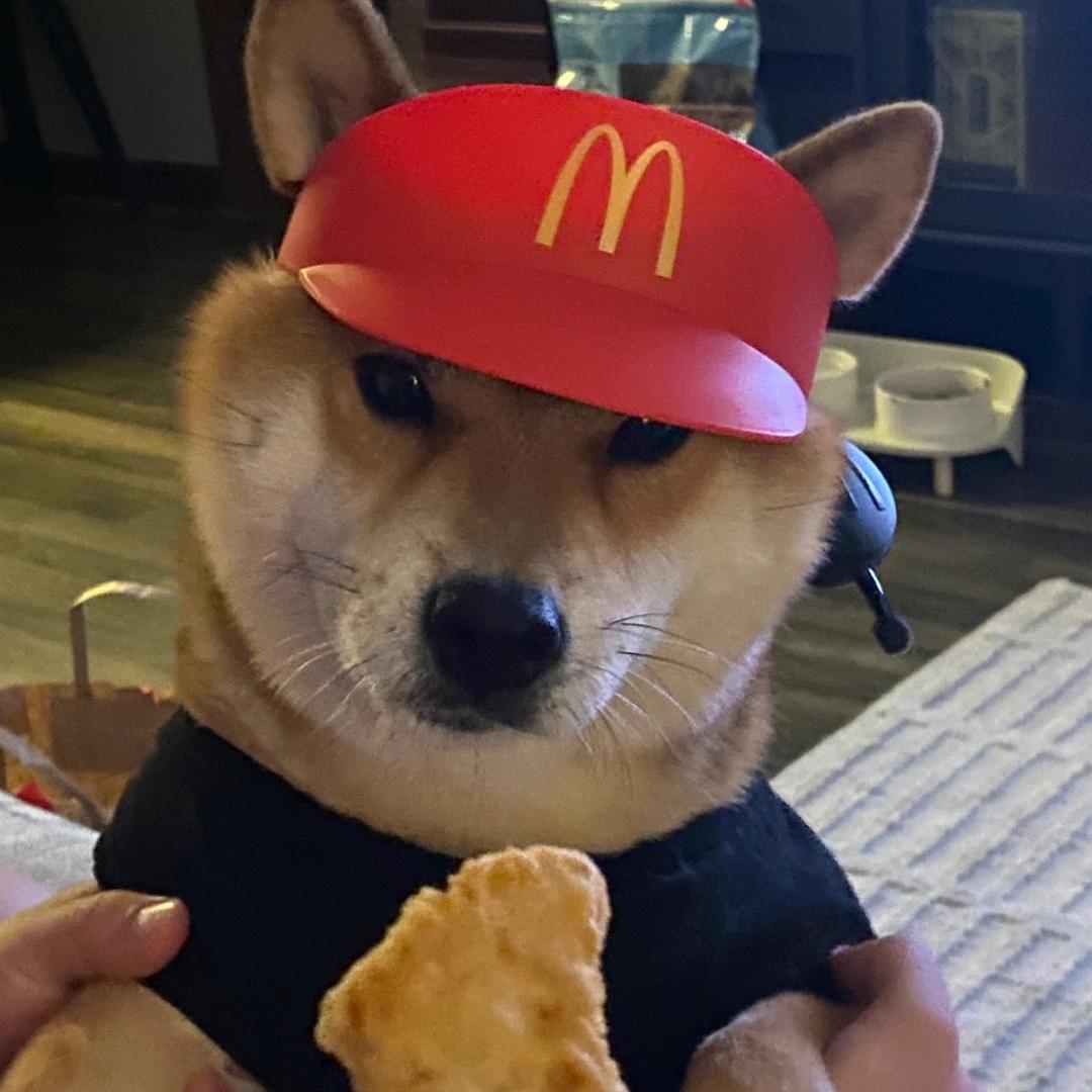 靓靓。
