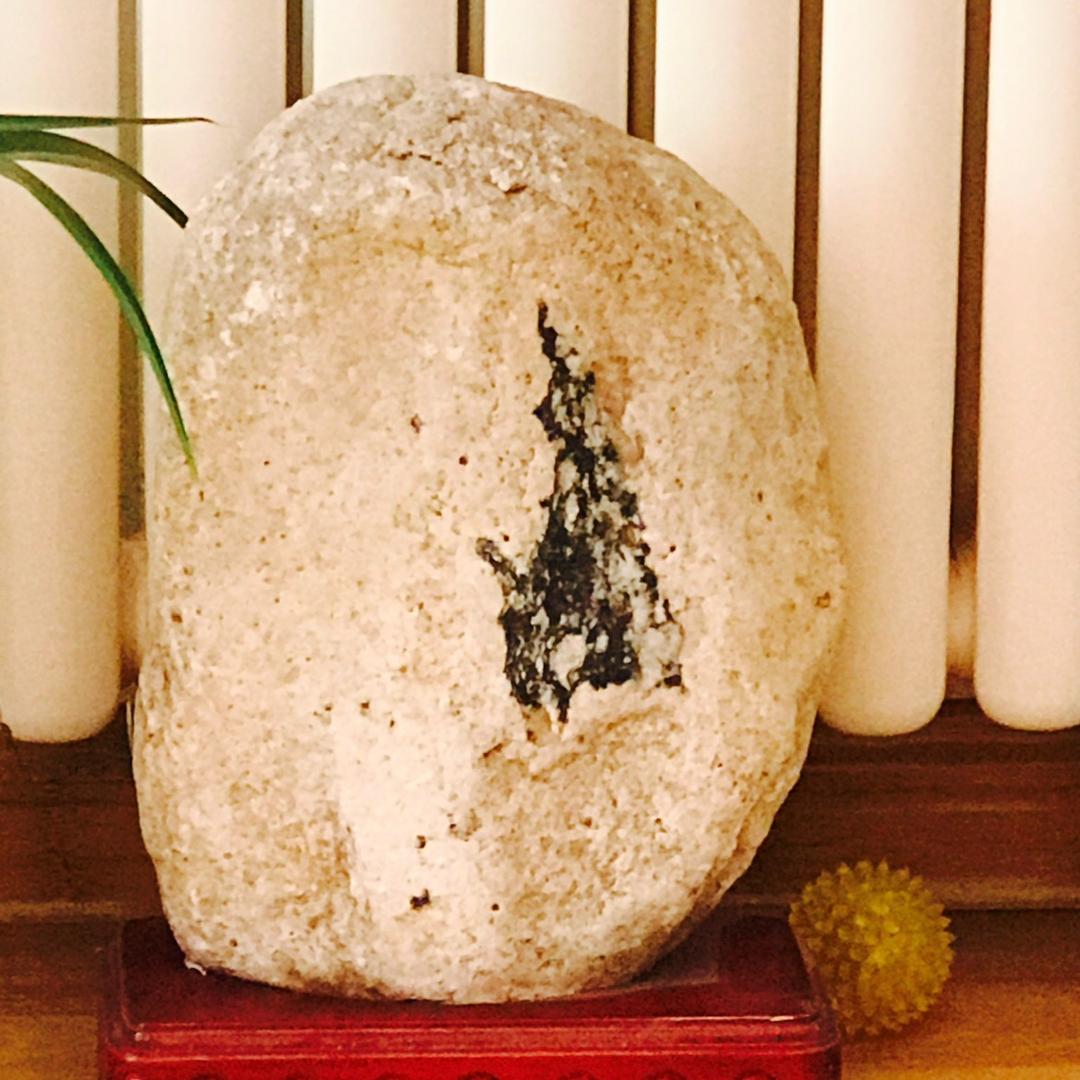 人无完人