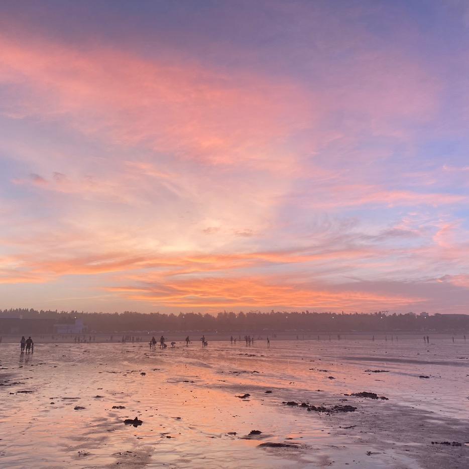 蔷薇花.简（wu理取闹）