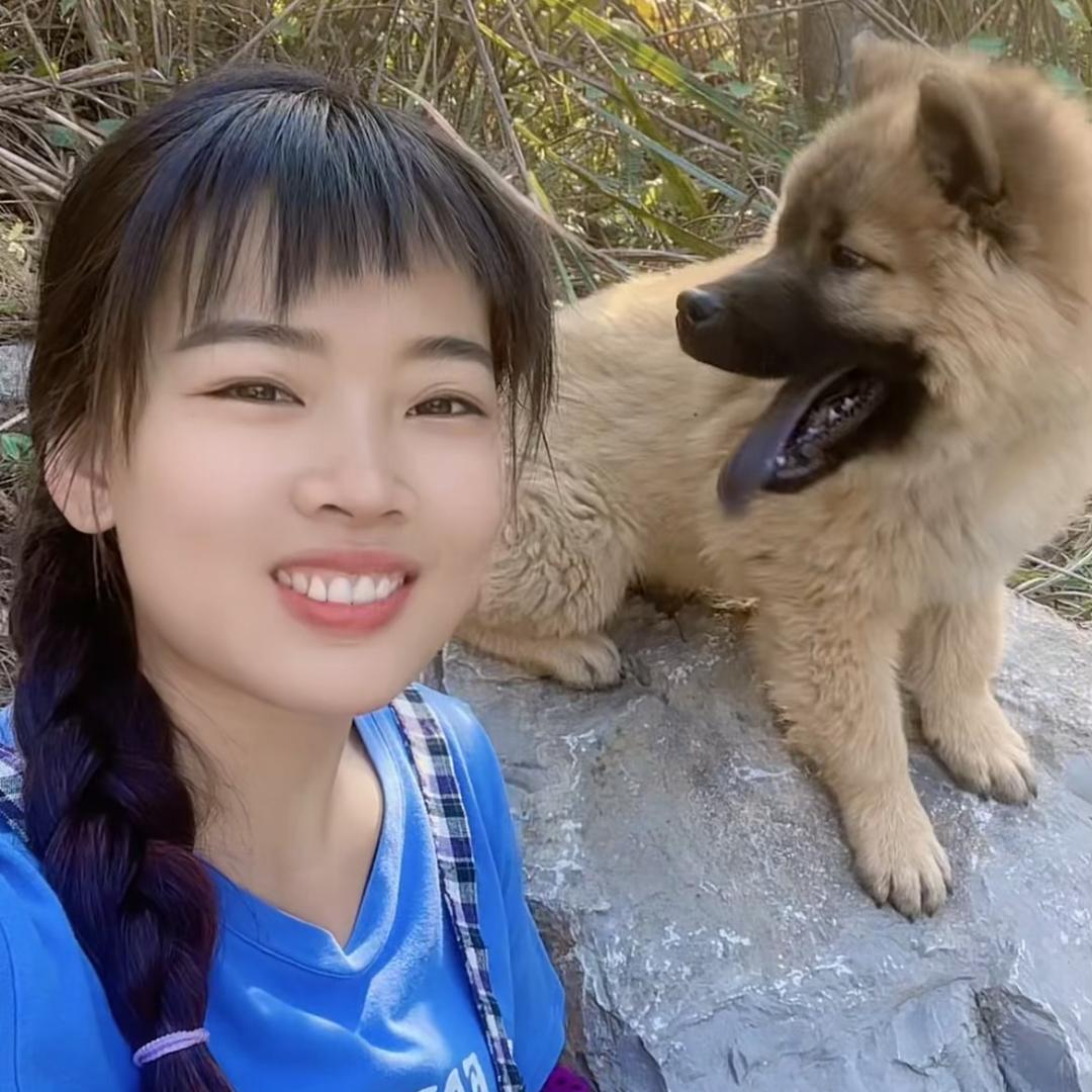 广西燕子