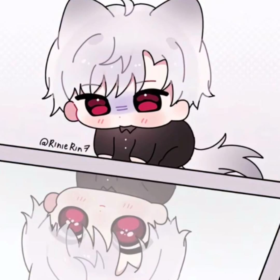 猫猫大王（求关注版）