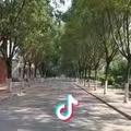 一颗小歆歆