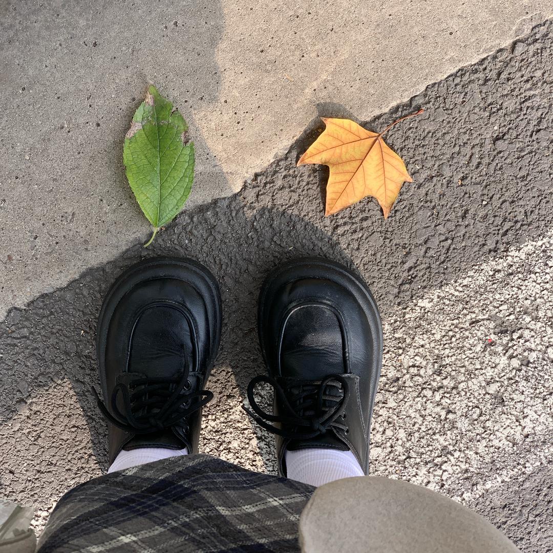 小杨今天瘦了没（复胖减肥）