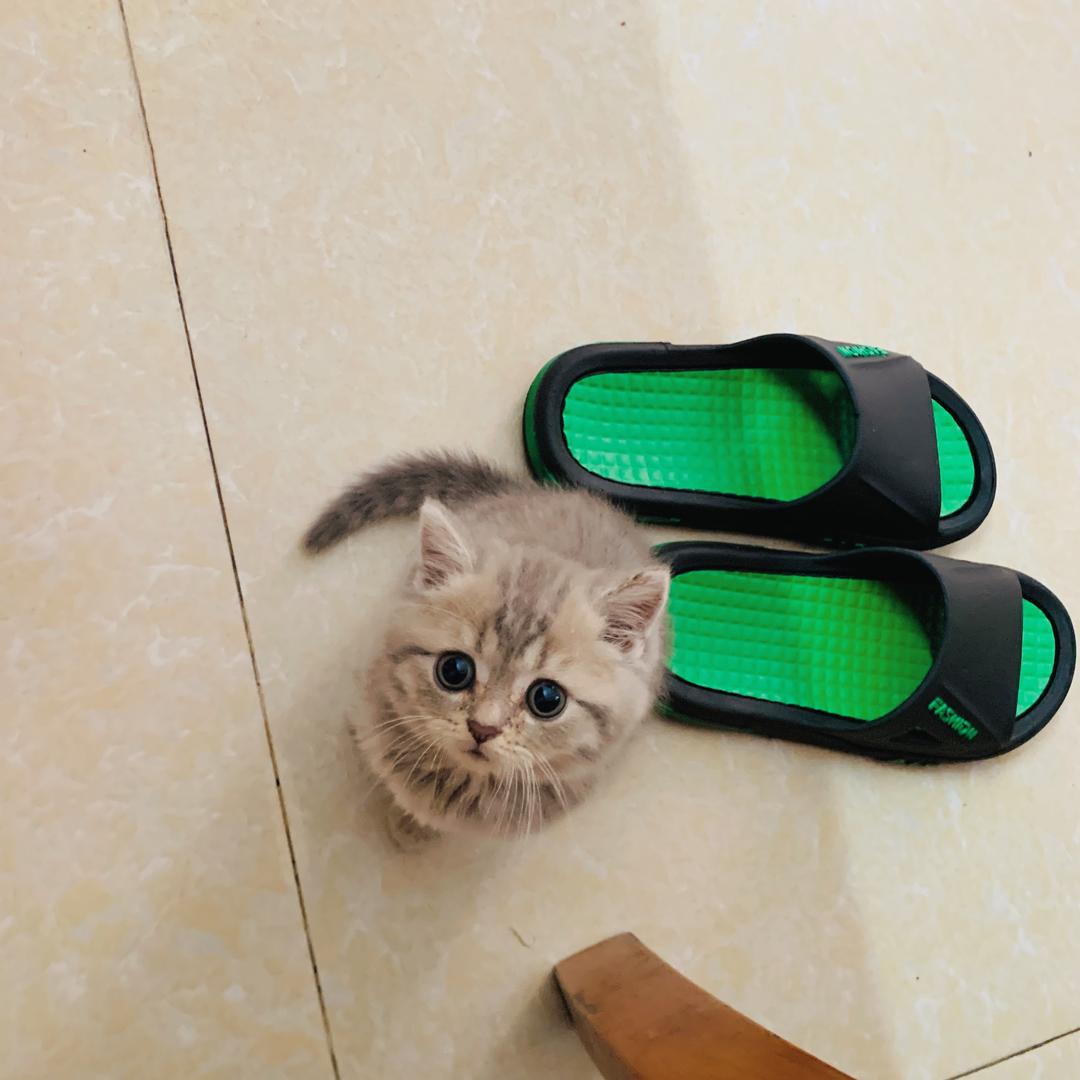 💞曾珠奶茶ℒℴѵℯ
