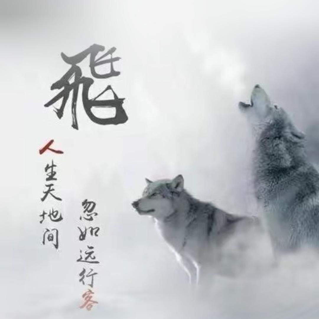 小不点剪辑