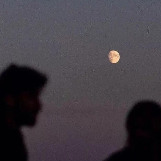 🌈在野i（苦练元歌版）