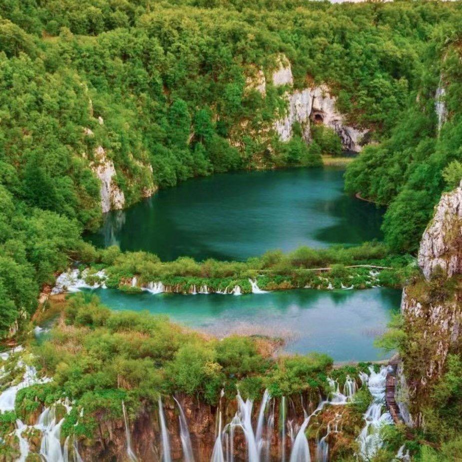 丽