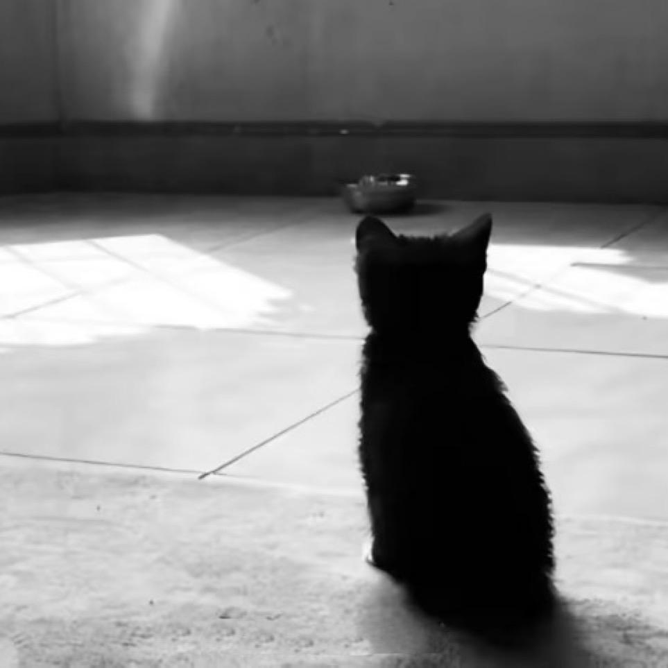 爱吃红薯干的老爷爷