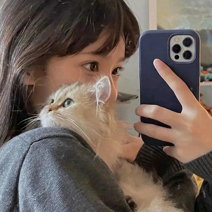 Mimi爱分享