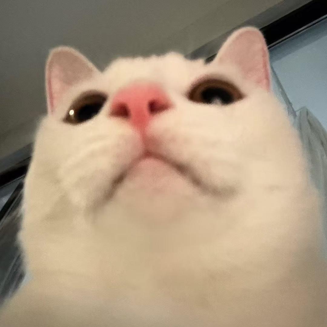 云外苍天