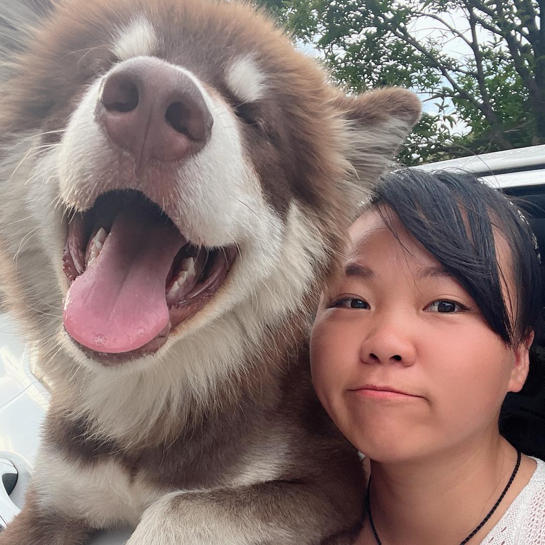 🍀四叶草🐒🐒