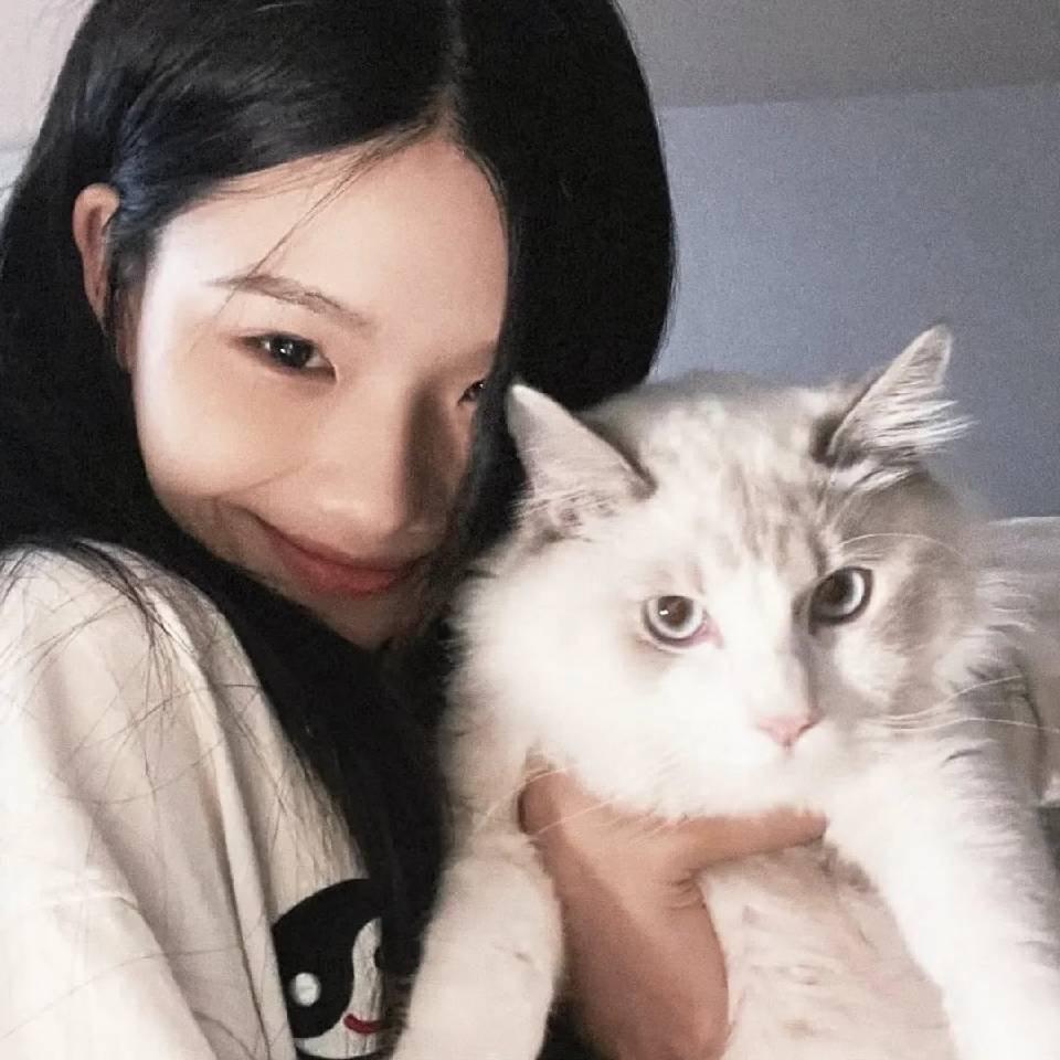 jiayi