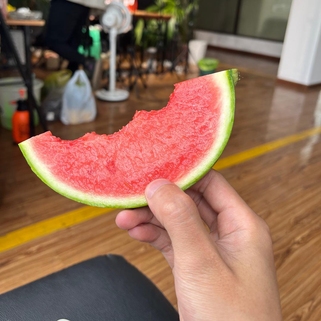 小白兔美食