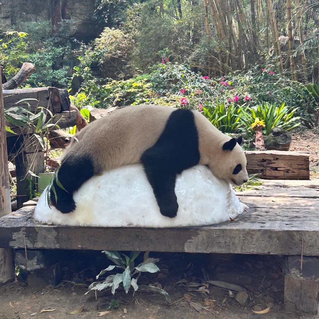 尚雅广告尚雅营销号