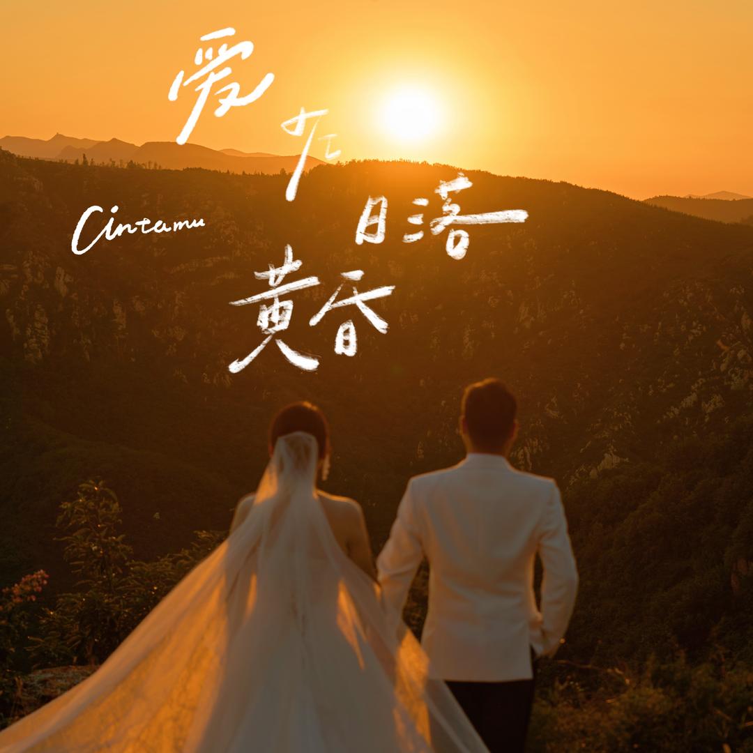 我脸有¹点圆 🐾