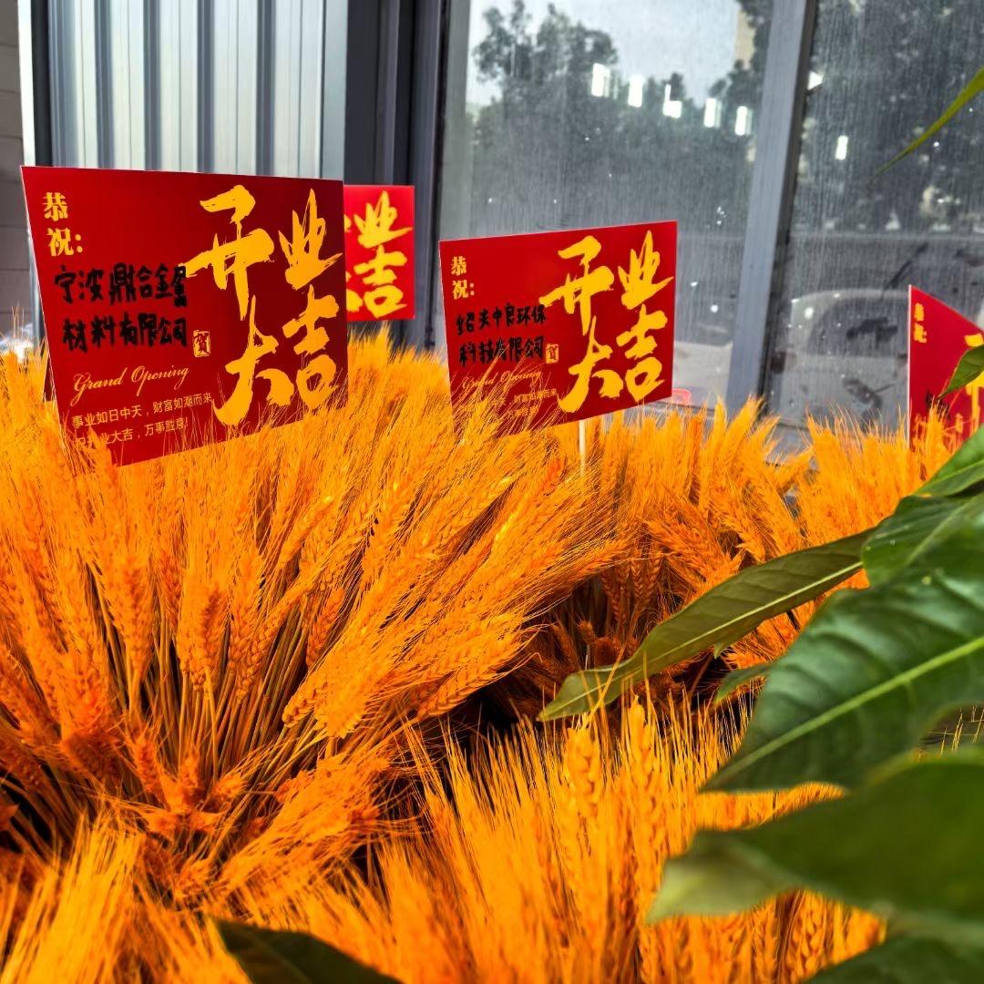台州世强环保科技有限公司