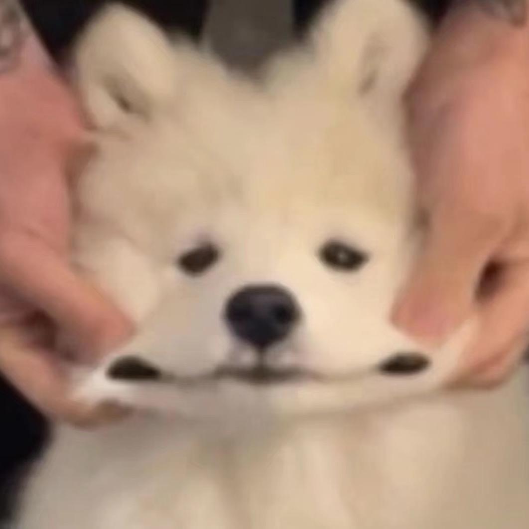 假如我失去一条鱼