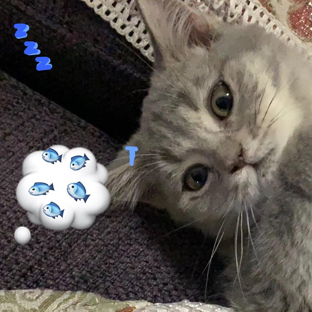 Valuri🌊