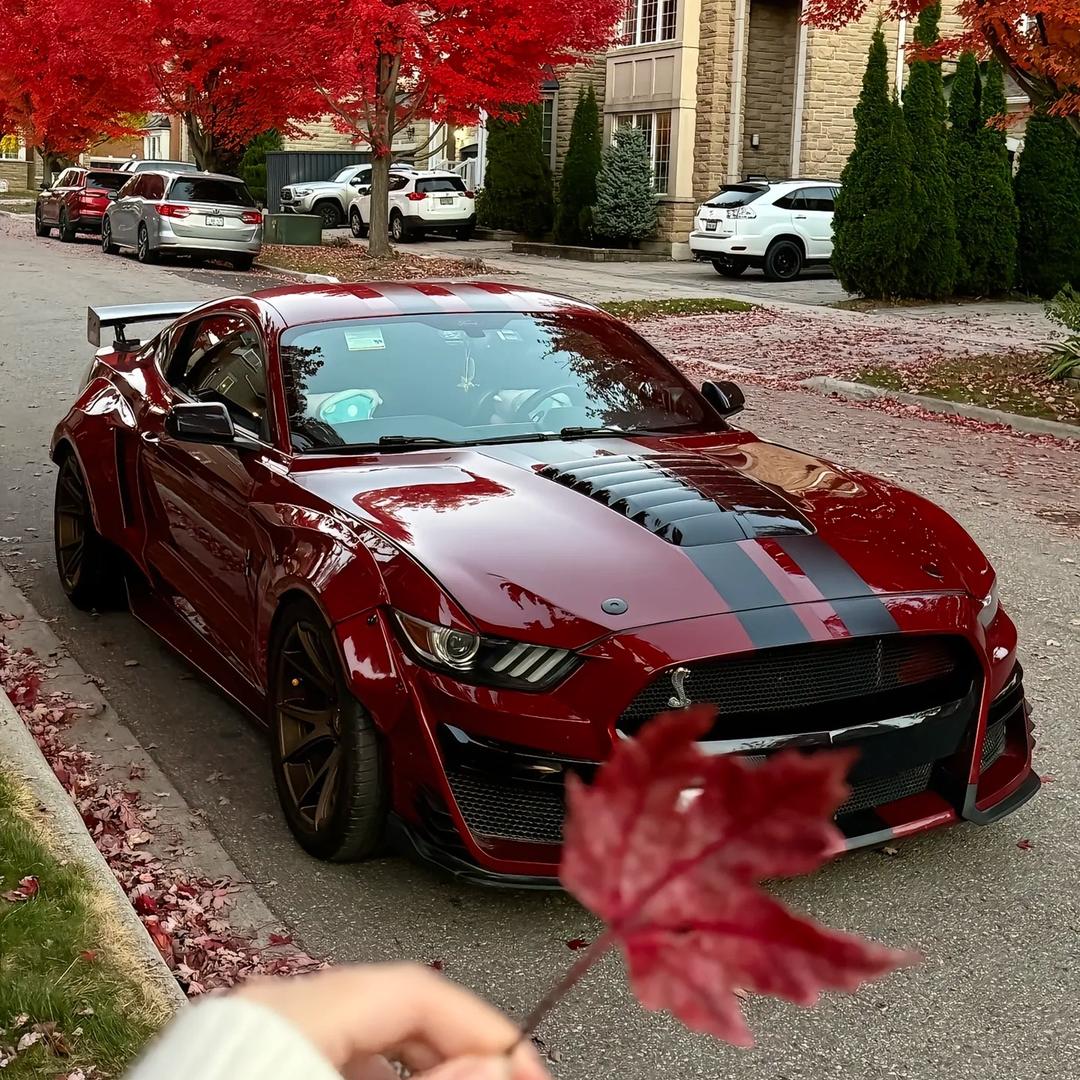 铁蹄踏月逐云去