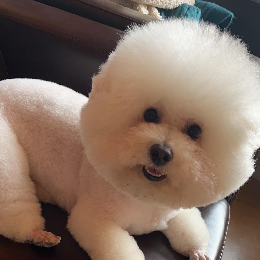 青云足浴官方号