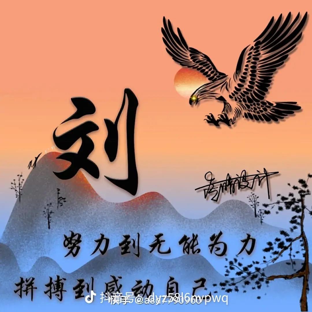 阳光总在风雨后