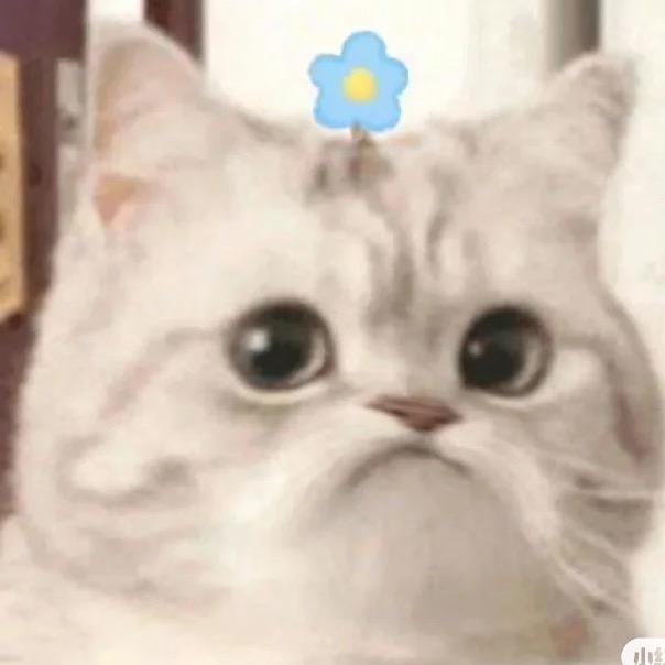 12357367367ietuu头像