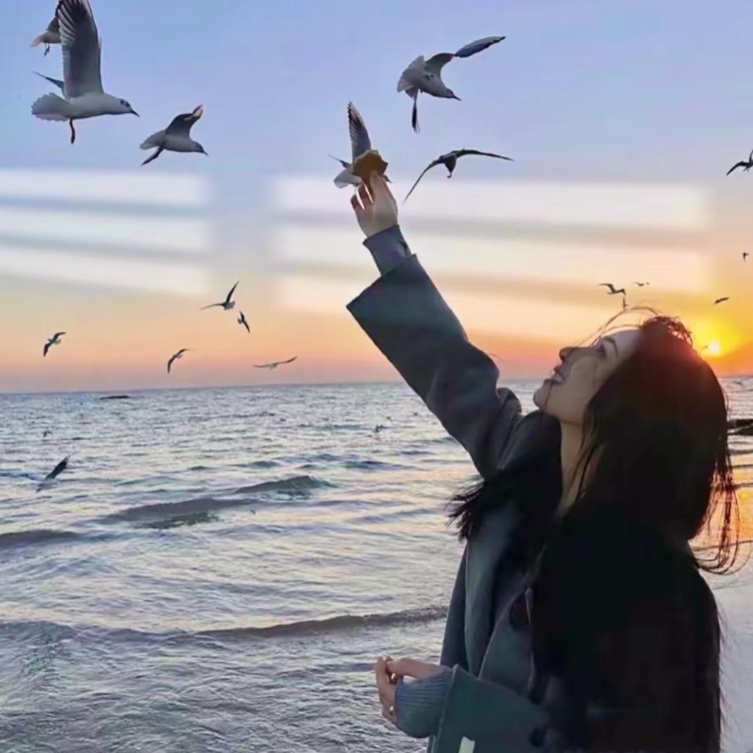 Dawn🦋