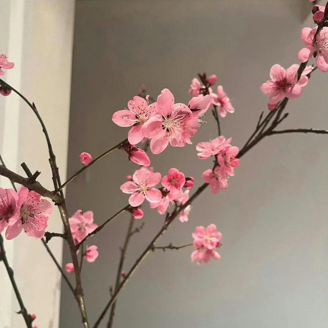 小甜酿