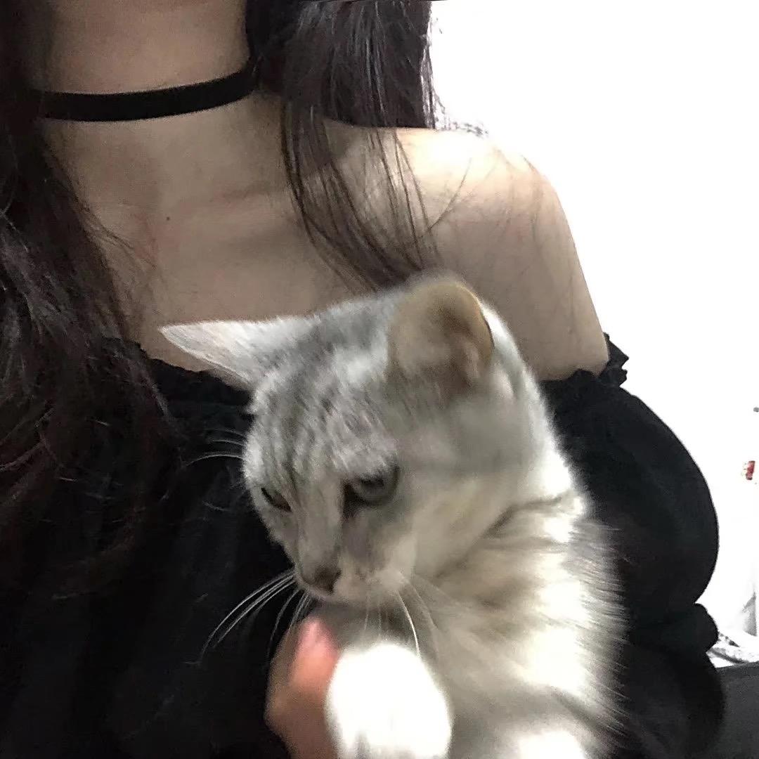 灧·