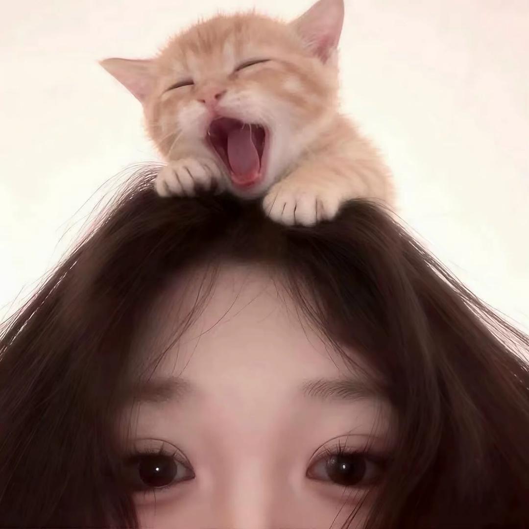 小琴很甜🫧