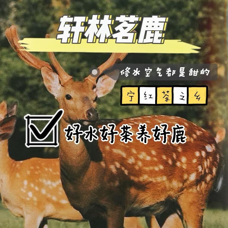 牧鹿谷综合精品农业
