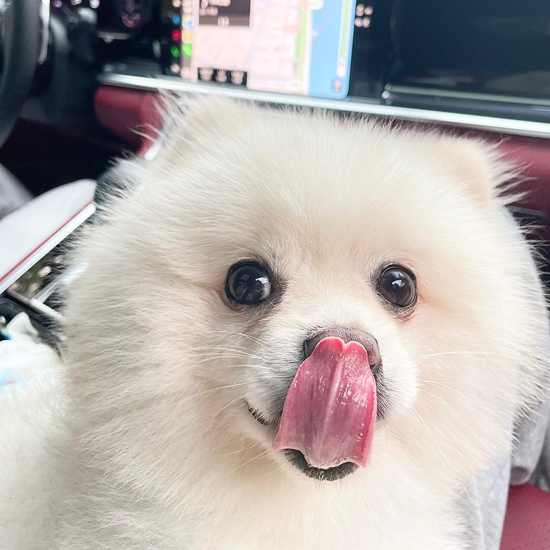 兰姐姐so