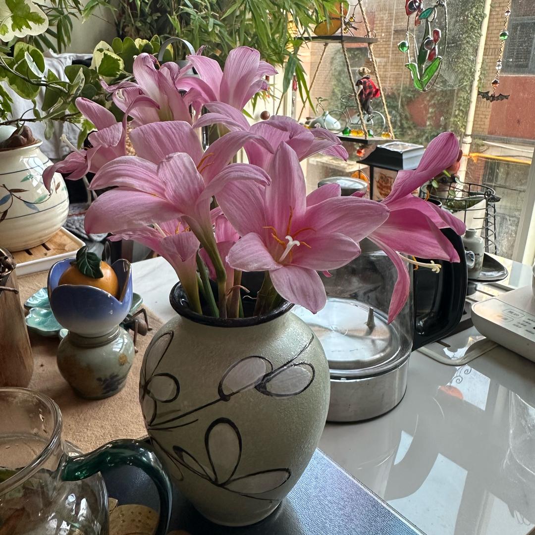 心晴