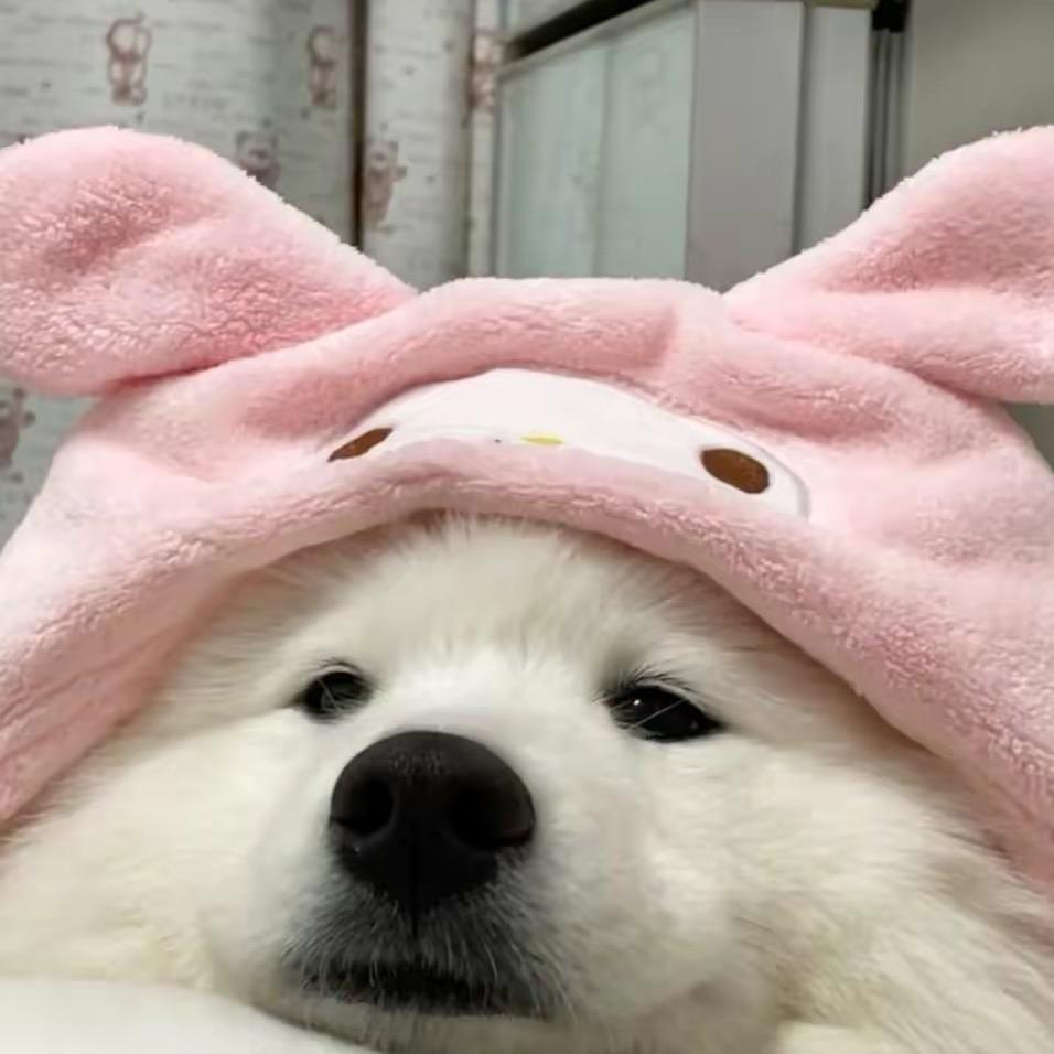 小白菜🌥️