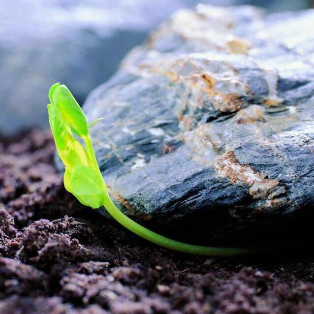 一滴水