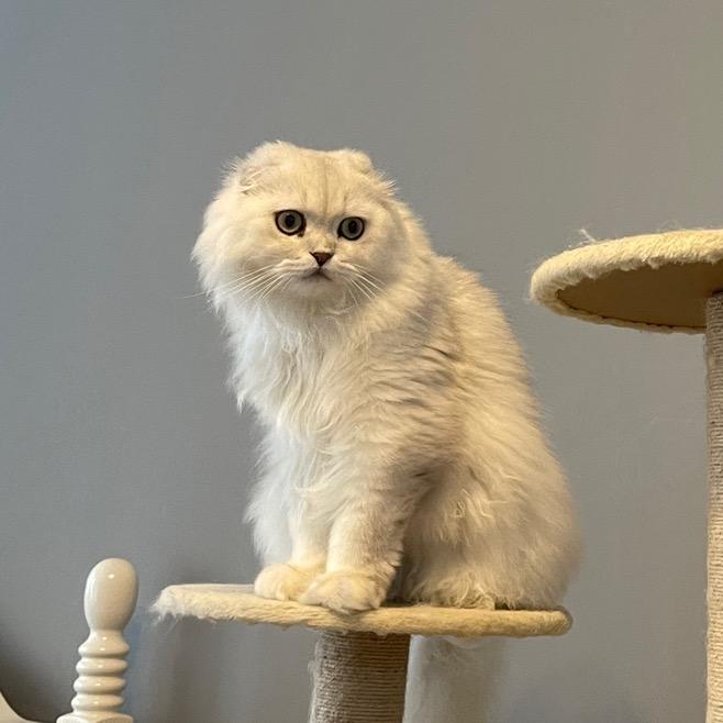 只喜欢八块腹肌猛男
