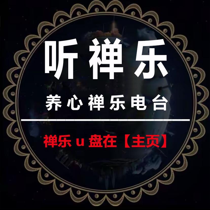 养心禅乐【U盘店铺下单】@抖音