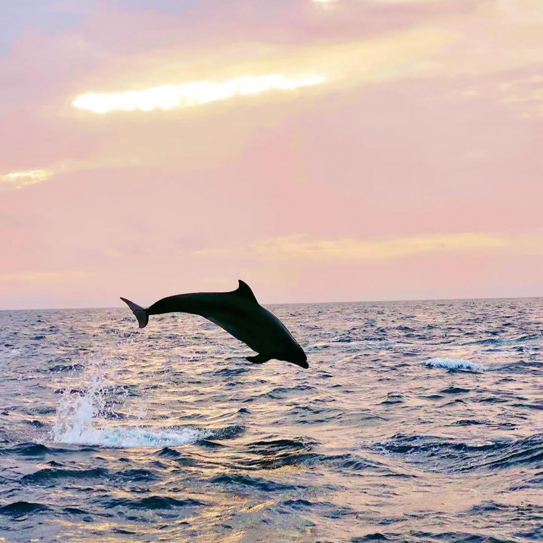 钦州渔你有约（渔家乐）