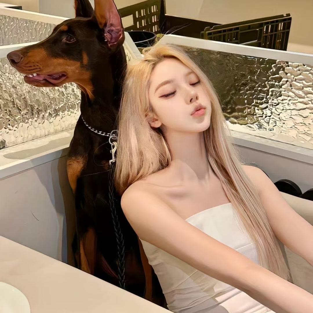 王Y潇🍧
